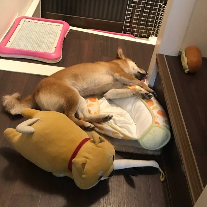 B097713c cf9b 4793 9ad8 32b0462e0656