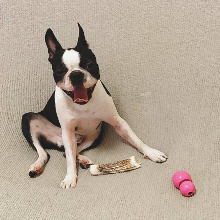 B0984dce 06e1 4667 a328 e73b017c2c34