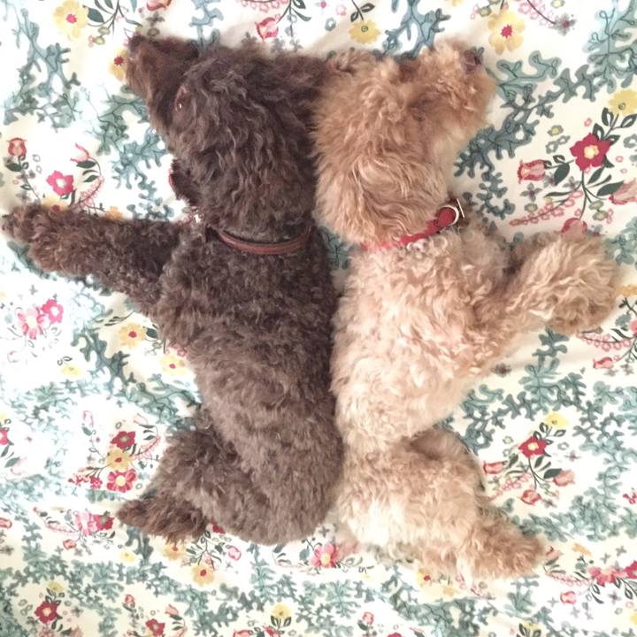 B0999136 18ba 42df b552 9e6f4d9004b1