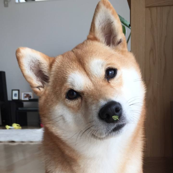 B099bf5d aac2 46fc 9020 8aa94f58642d