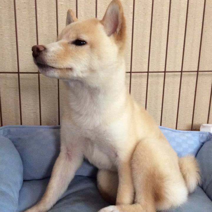 B099d5b6 f6d8 4f4b b84d 1300820d4428