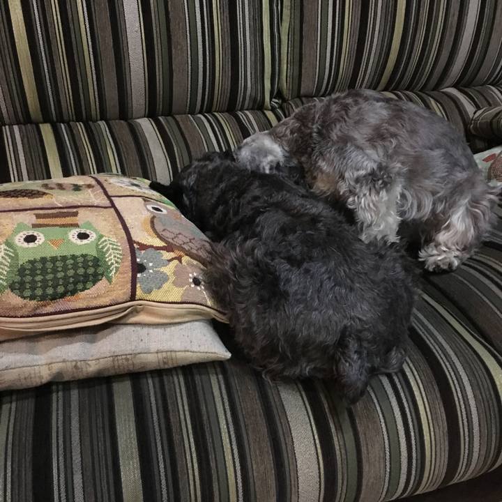 B099eb8a b513 4d8b adc7 ef86be61fa59