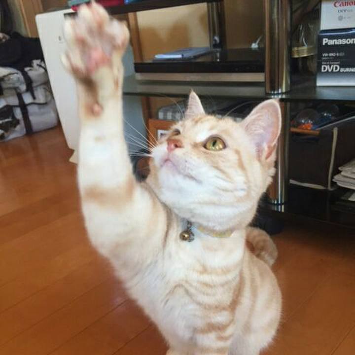 B09a3425 4340 479c 8095 47fa3e178578