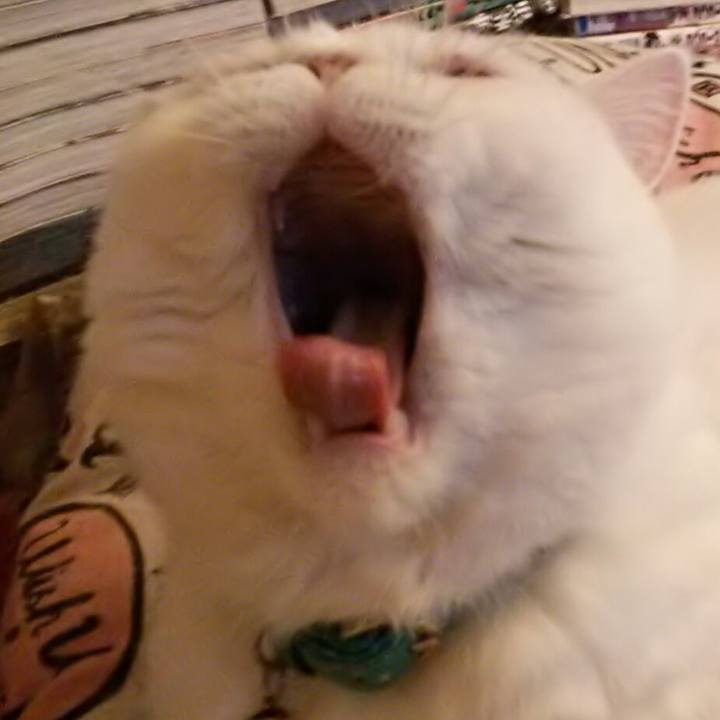 B09a659a ad45 4d45 bb72 1f5c15af40df