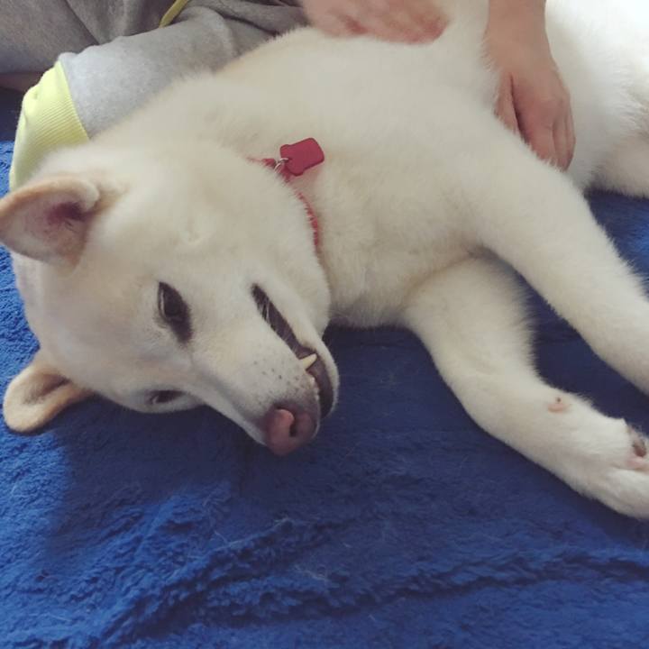 B09ab44c 8f9d 4d82 8ee6 904ba306970e