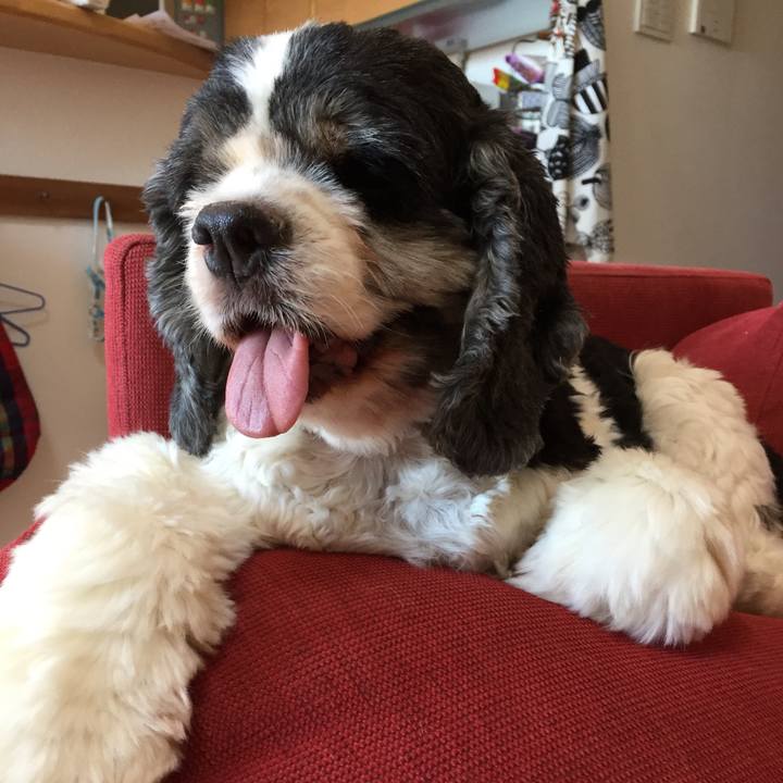 B09ad795 405c 4a86 9d9b 47a6c9f48eeb