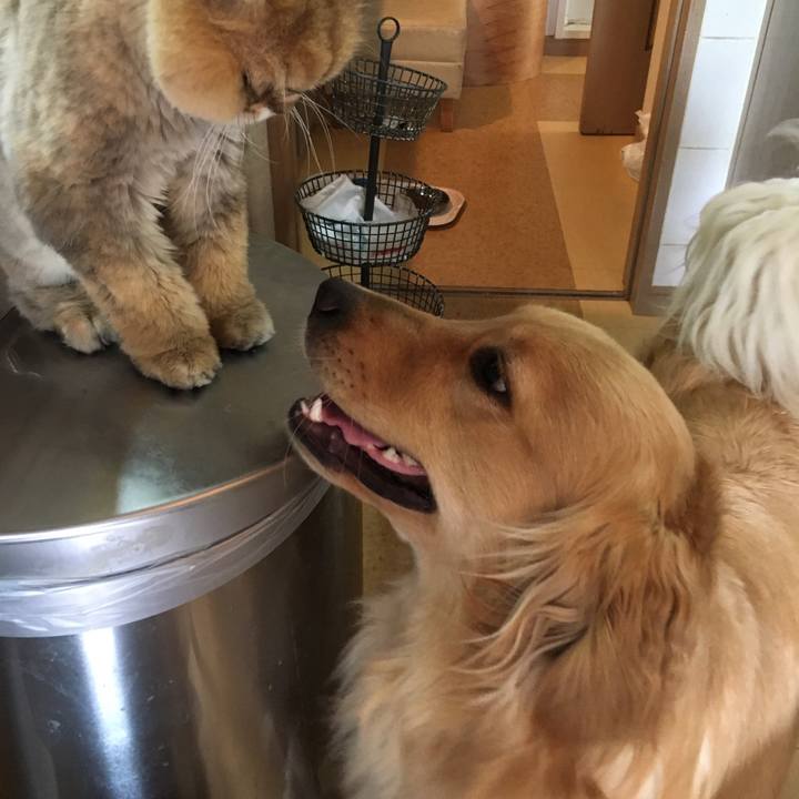 B09b237c 4c61 48c0 b8b2 b3dff7baf739