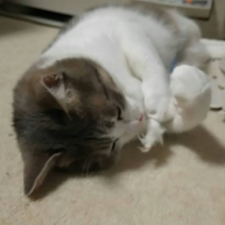 B09bca26 29e1 47ca 8d75 91fae0ce05f4