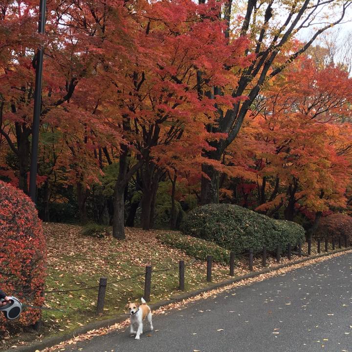 B09bfbf7 7023 402a 9459 c0f0ac14c9a4