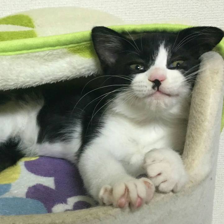 B09c0241 e45d 4a68 b89f 31aef43409e1