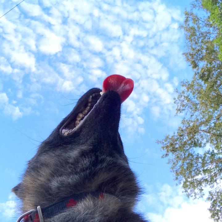 B09c4049 239d 440b 9d20 392d6faab6b0