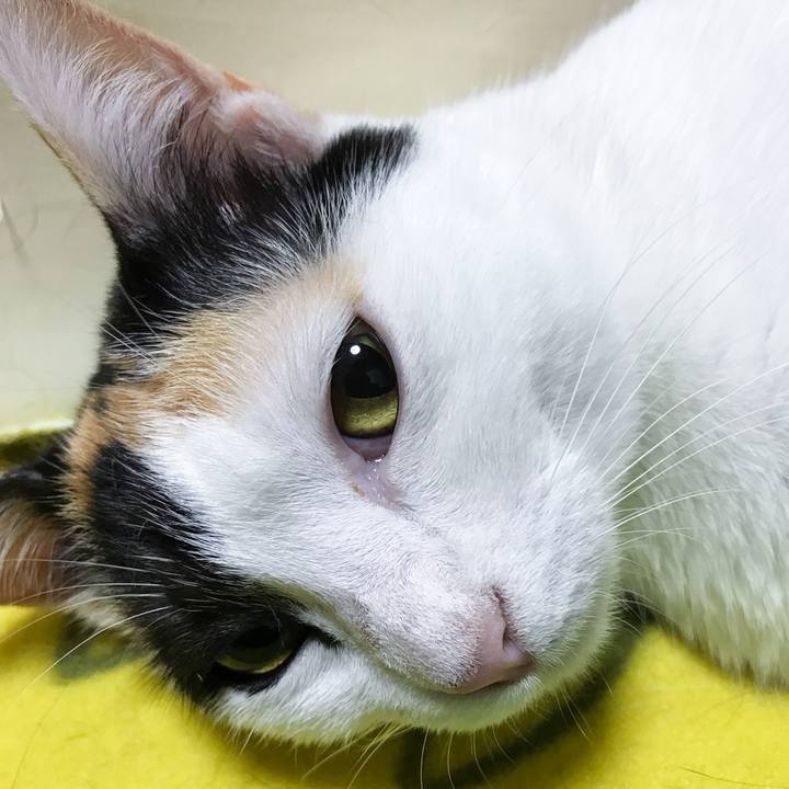 B09d2836 9130 4790 9e63 36e37eba83fc