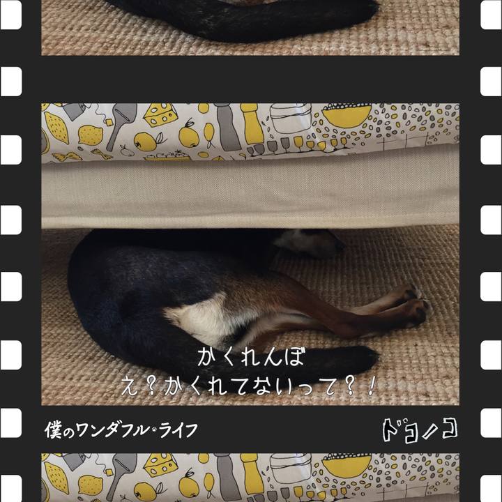 B09d63ad 6bf2 4583 8fcf ff5a4fa8b33a