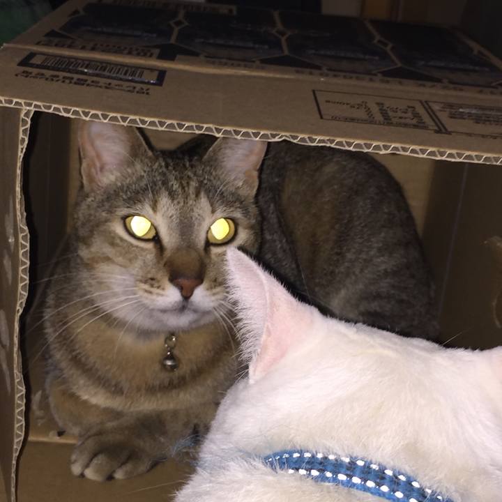 B09e8d8a e401 4484 8672 ab9fb063db1b