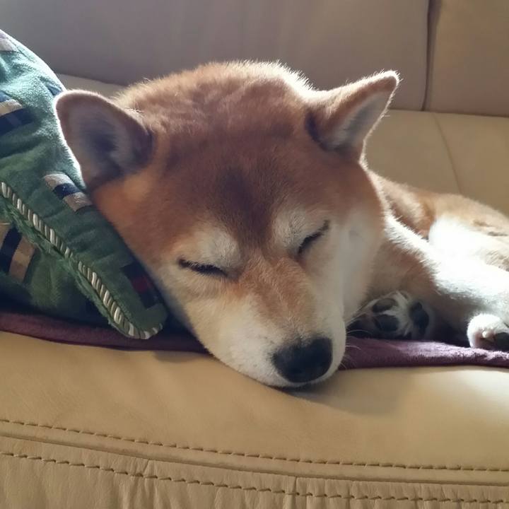 B09ebd8b 698b 47c6 92d5 491729e1ae82