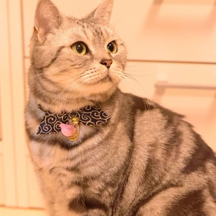 B09ebe6f a342 4e2a b83b 431dac35d9c8