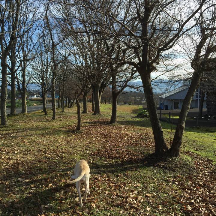 B09f279c fc21 43ca 9cd2 23268d6091c0