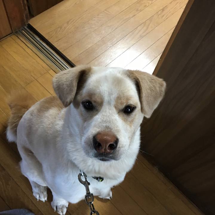 B09fd1de b128 4eb4 9d65 14e477bd29c4