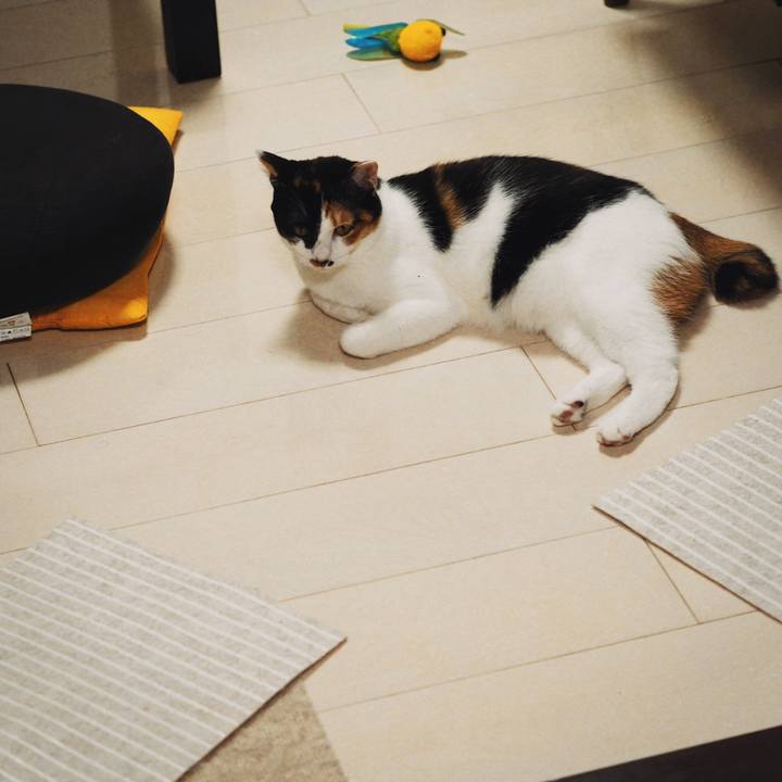 B0a059fc 8c0b 4292 97db a1a15db6a962