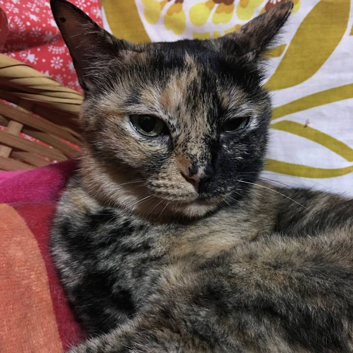 B0a08ccd 5c15 4f83 a98f 2b4d1b665811