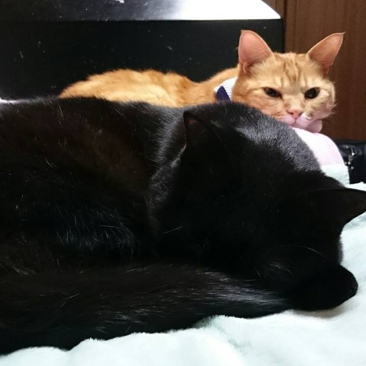 B0a0c038 80bc 4f2a 9096 2ab708d57a81