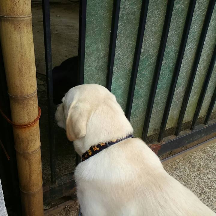 B0a0e62f 05e4 40e5 b5ba f165c69e574c