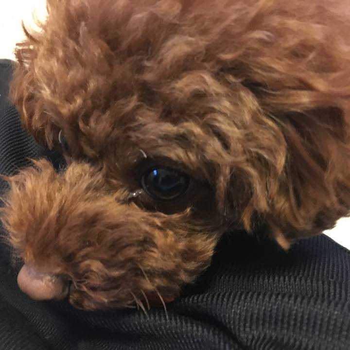 B0a152c0 1a87 4ab5 8173 9fe23803e316