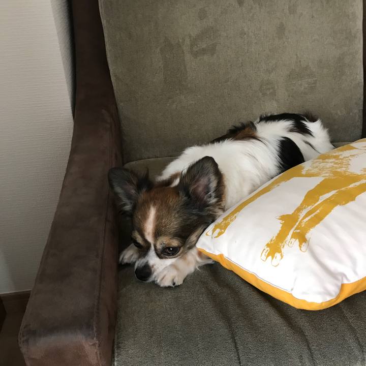 B0a177b4 88ff 4b50 815f 6410e71780cd