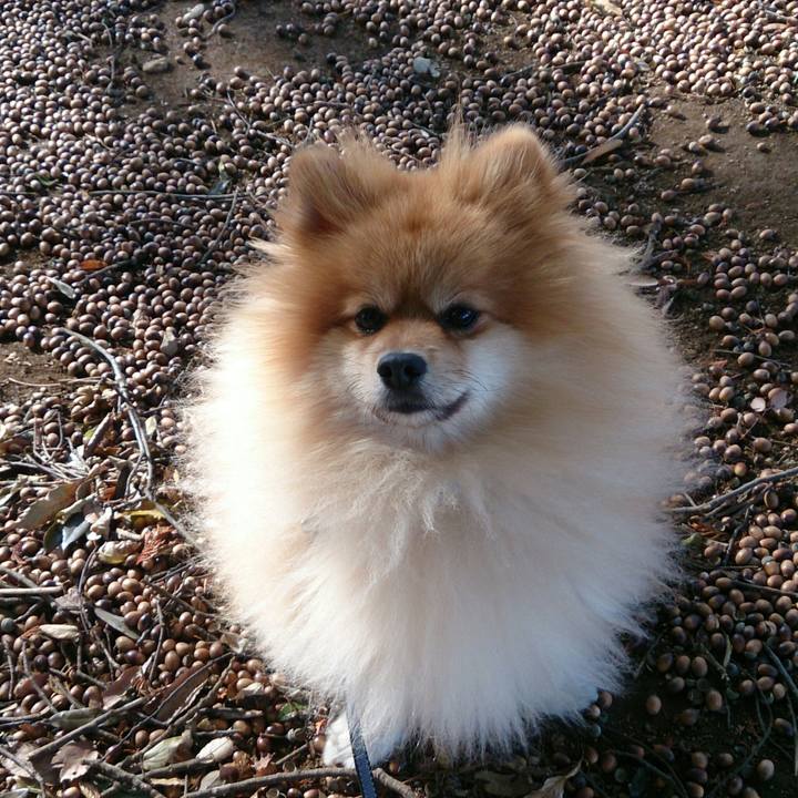 B0a17f31 2f83 4384 838e 39134264f2b9