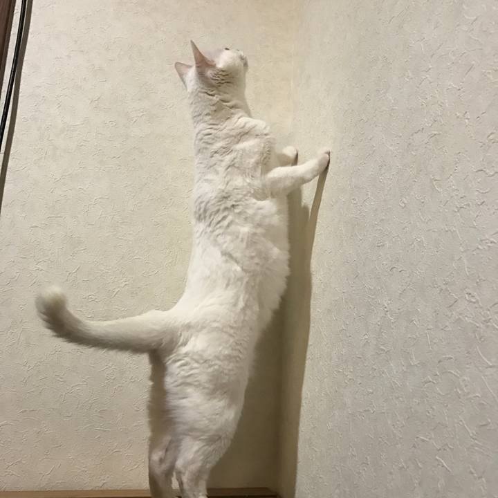 B0a21f68 d527 4759 9a28 efa7e6638d06