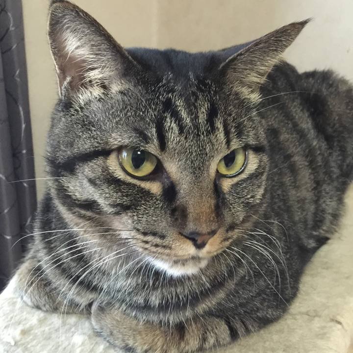 B0a25ca3 a924 4acb 8aa5 86992ea9d7ad