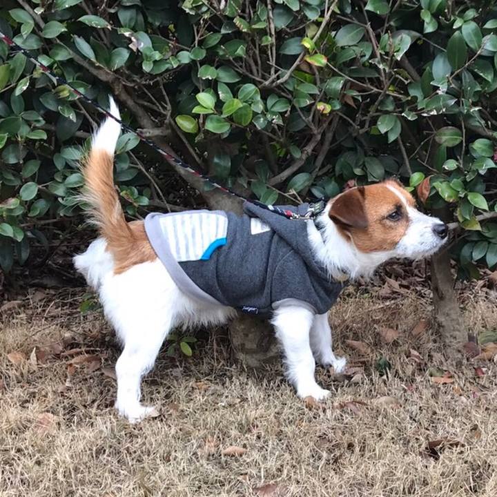 B0a26fba f5ab 4984 9bb5 0a61a1bc2c4b