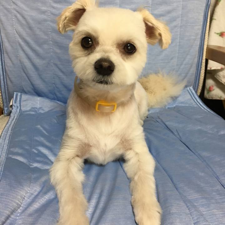 B0a2720b a0b6 4d31 bfad 2a03c3f7ae51