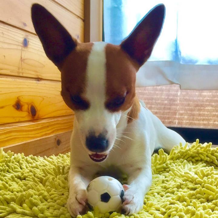 B0a288aa 4b20 4d04 a83c b0d31009388f