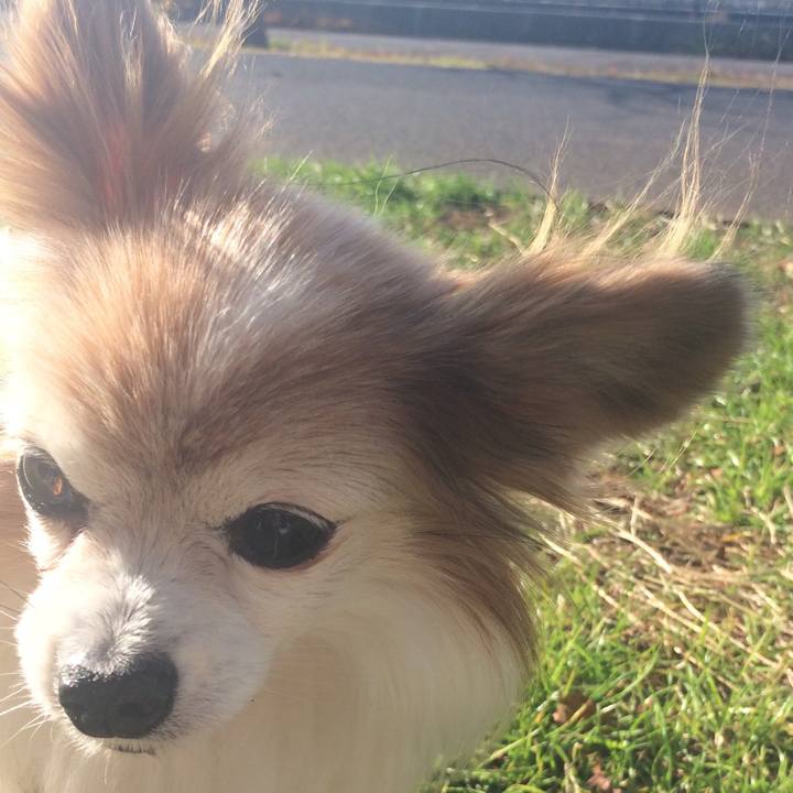 B0a2f883 fb37 401c a00e 29d1bbbc591c