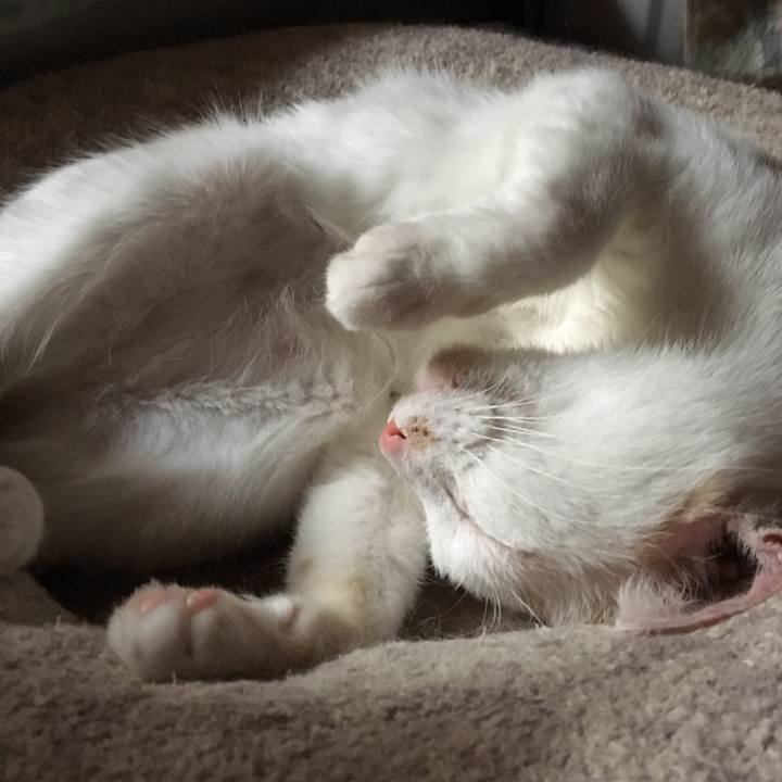 B0a3d52e 55be 4ad6 be8c 1bee42b7f10e