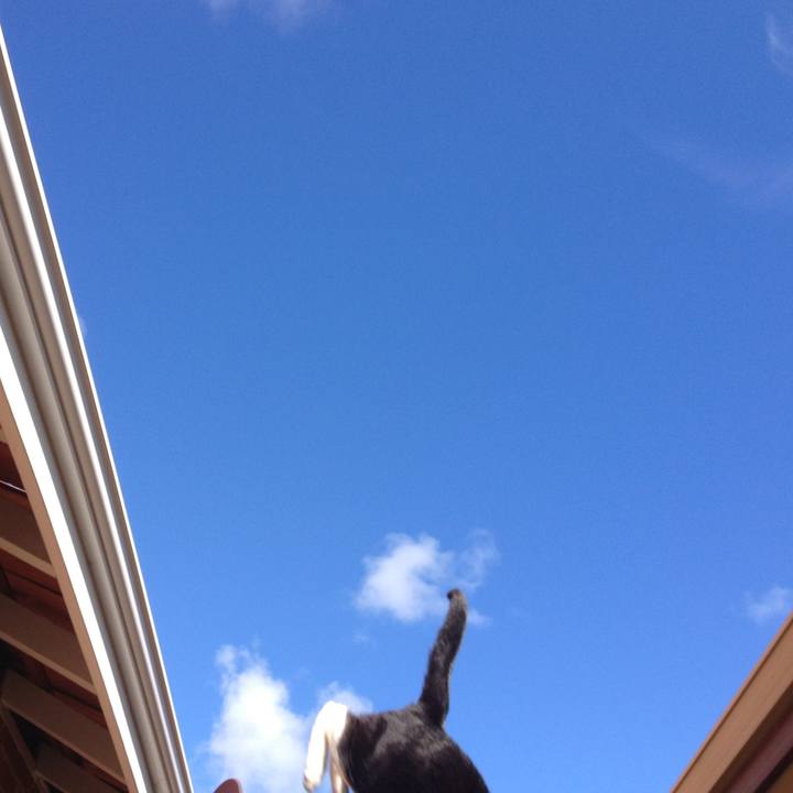 B0a4f56a eb89 42c1 8056 883080d23e56