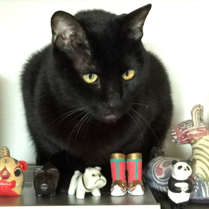 B0a64a7a f9c3 43e2 ad81 4934159eb275