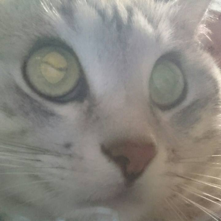 B0a68eaa c62c 4c4b afb2 b9286e7f6445