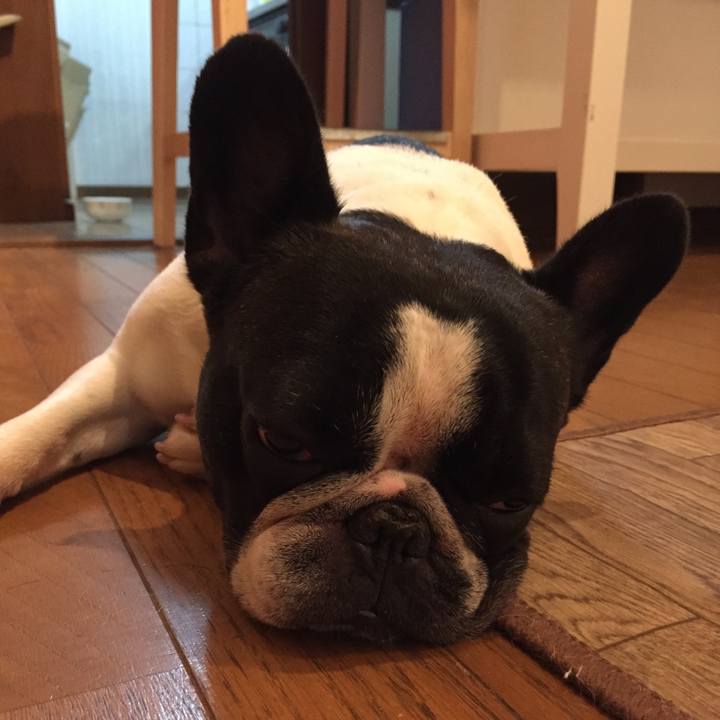 B0a70303 5a0c 454b bd80 c881bd22443f