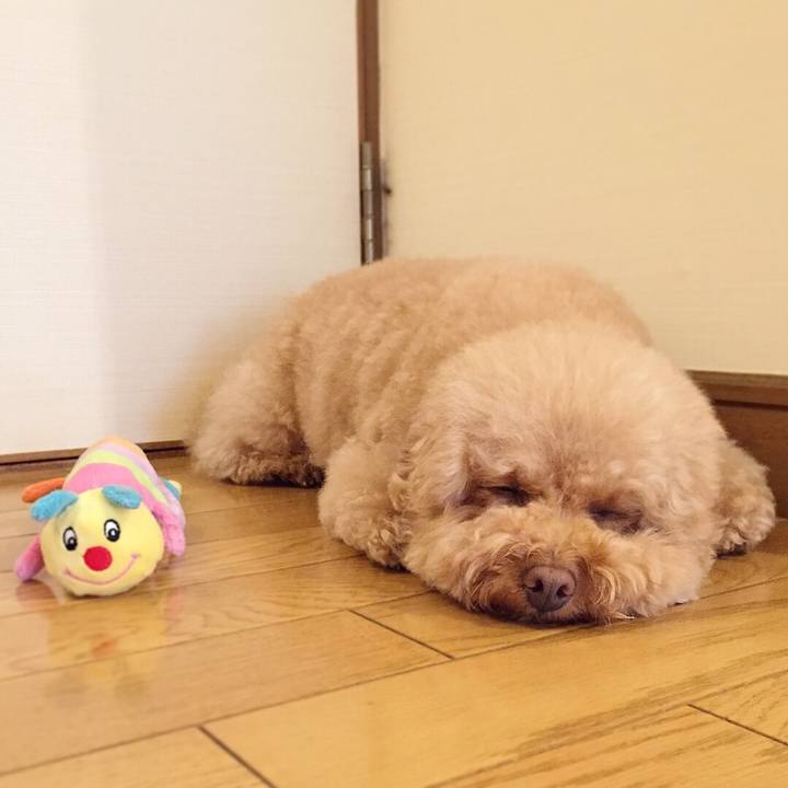 B0a80a6a 3a28 465d 8269 edef62e4acb0