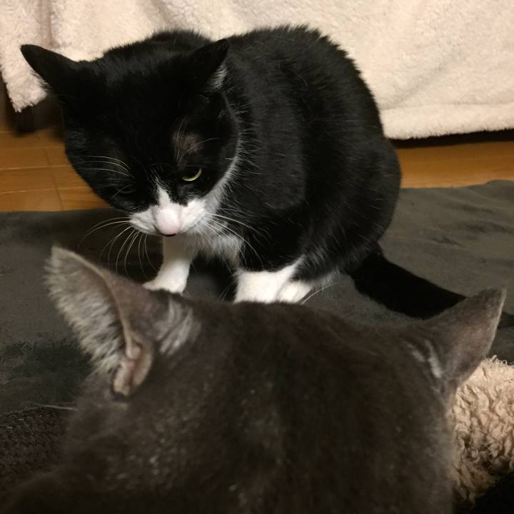 B0a82b55 c823 4675 9d2f 8d12c032a49e