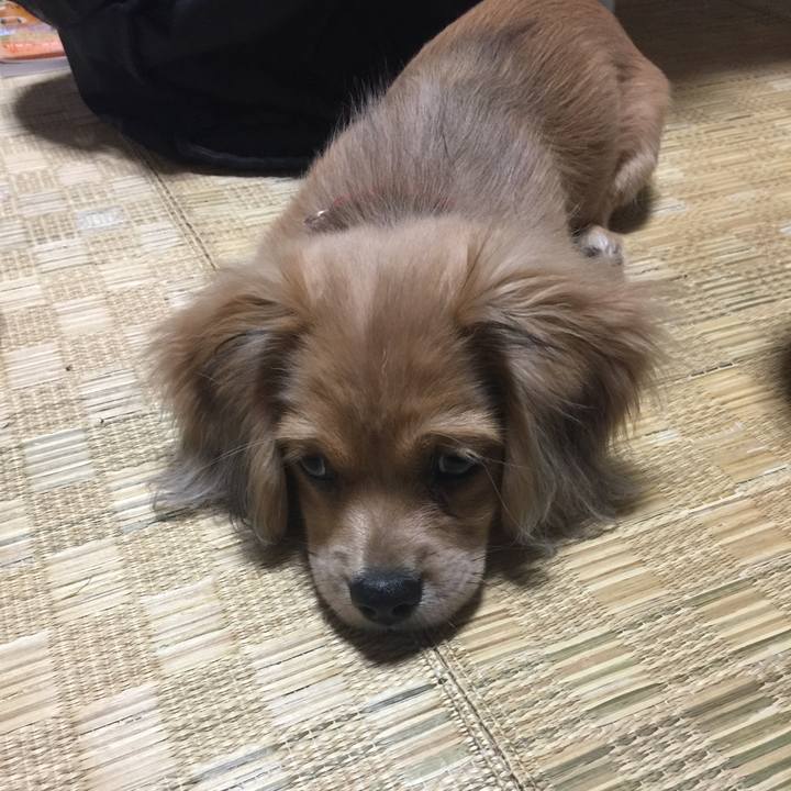 B0a87f86 a75a 459f a866 4d8baf01d029