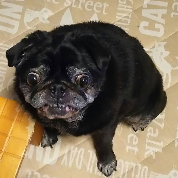 B0a8a0ad cc64 4619 ae1c 677071fd331e