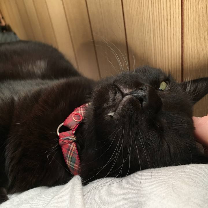 B0a90c74 ec18 43e3 8844 1c52ca58c3ef