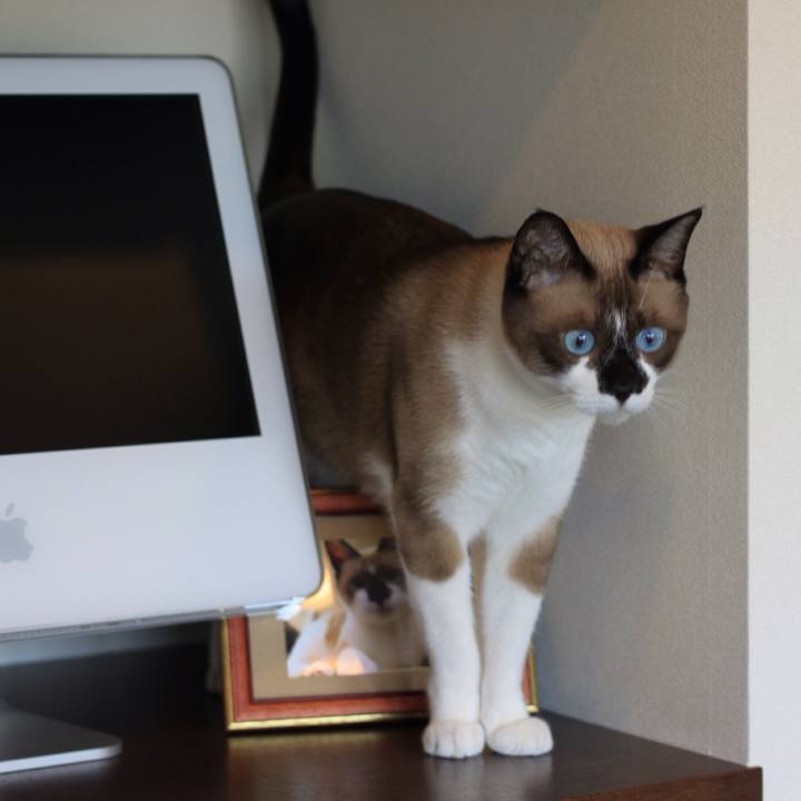 B0a9b978 767e 4e45 a8bf c7785198d70d