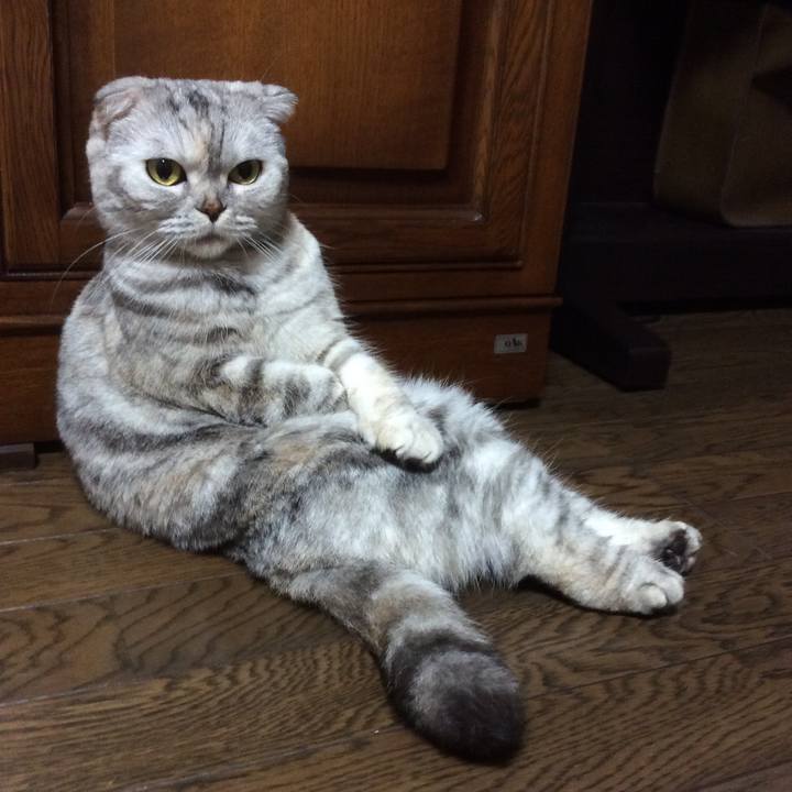 B0a9e77e 0a87 4cdd b169 dfa646bf13f8