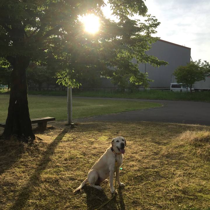 B0aa70c6 6f65 48f7 931b 53ea9bc33dc9