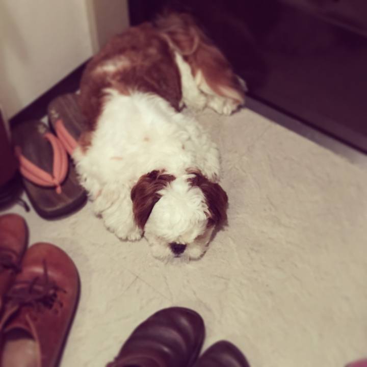 B0aa78b1 f110 48de 8b06 68ee9e9bfe12