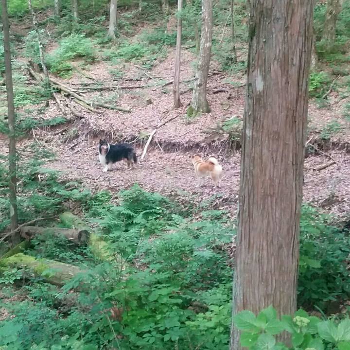 B0aaa54f 5f1b 4c03 a03b e449b639ceb8